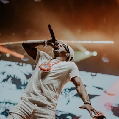 Public Enemy- RiverBeat Music Festival
